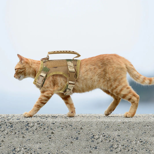 Tactical Cat Harness Leash Puppy Adjustable Kitten Vest For Military Small Dogs Harnesses Working Training Cat Accessories