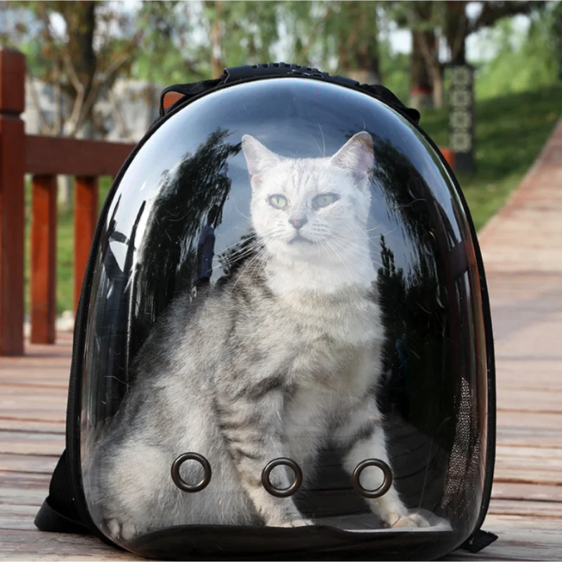 Cat backpacks, portable and transparent space capsules