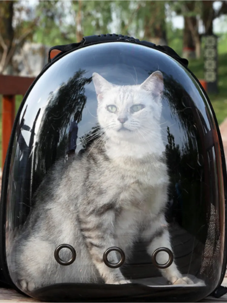 Cat backpacks, portable and transparent space capsules