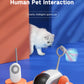 Smart Cat Toy Car