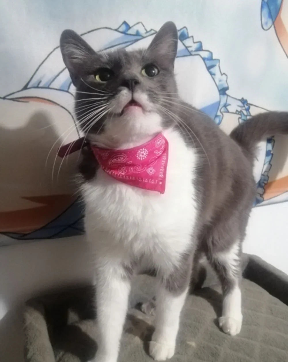 Cute Printed Bandana Cat Collar