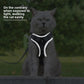Cat Harness and Leash Set Escape Proof For Small Medium Dog Cat Breathable Reflective Adjustable Kitten Chest Strap Pet Supplies