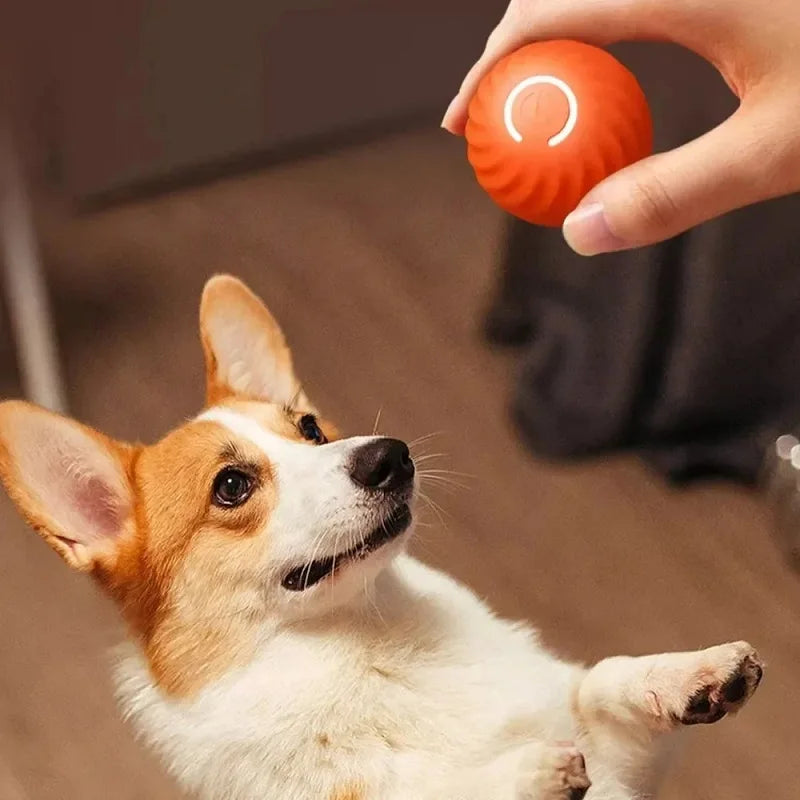 Dog Toy Ball Automatic Moving Bouncing Rolling Ball