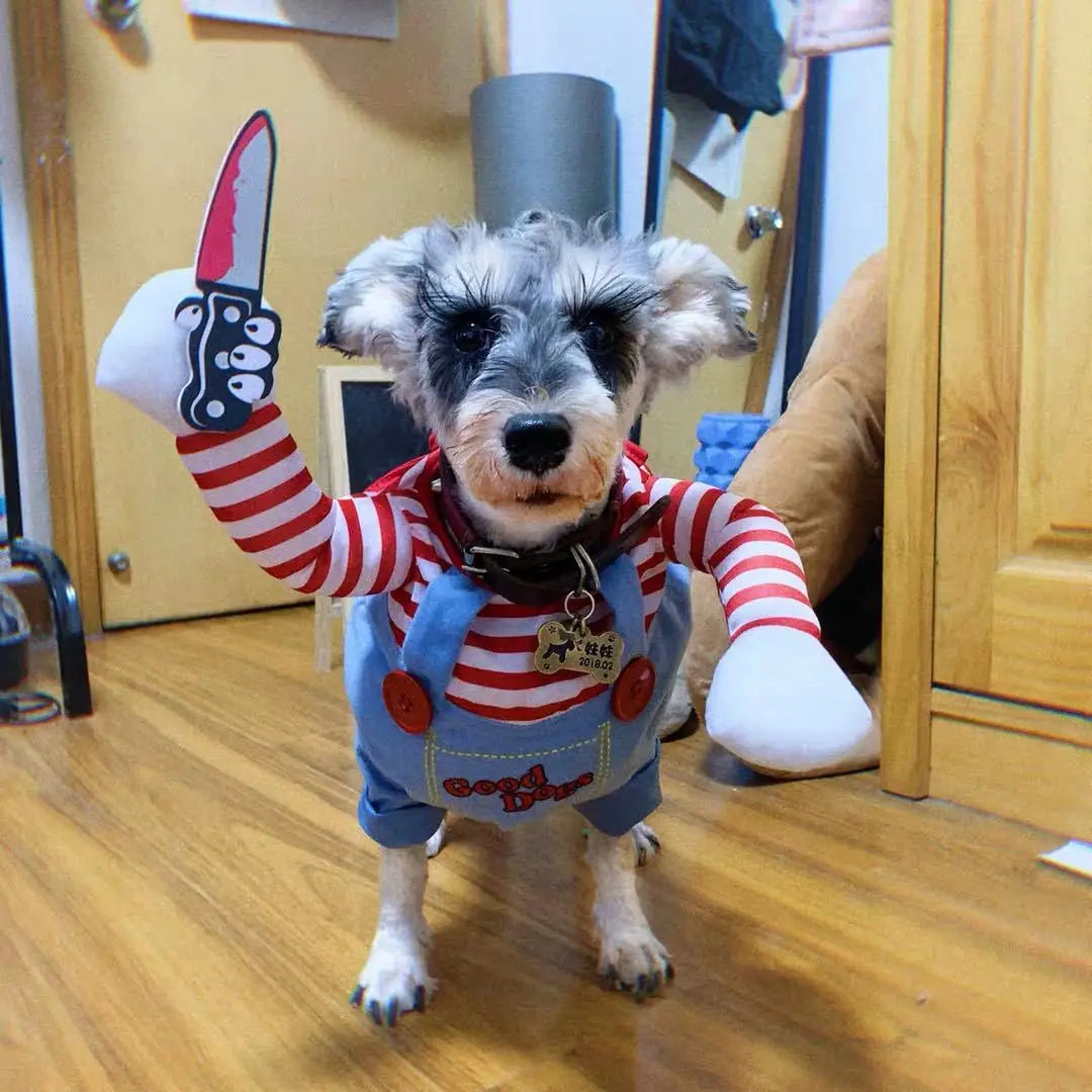 Funny Halloween Dog Costume For Small Medium Dogs