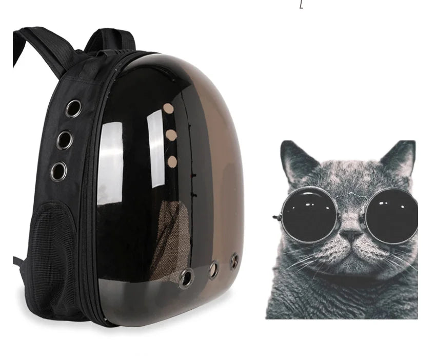 Cat backpacks, portable and transparent space capsules