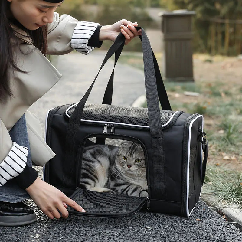 Backpack Pet Bag