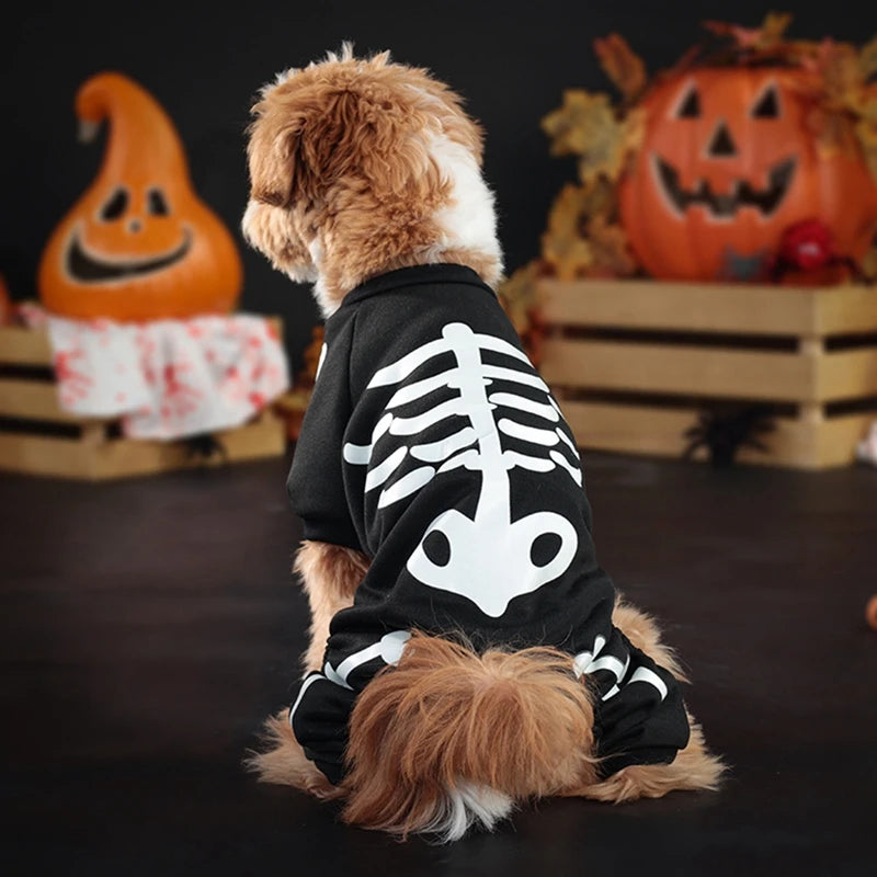 Halloween Dog Costume