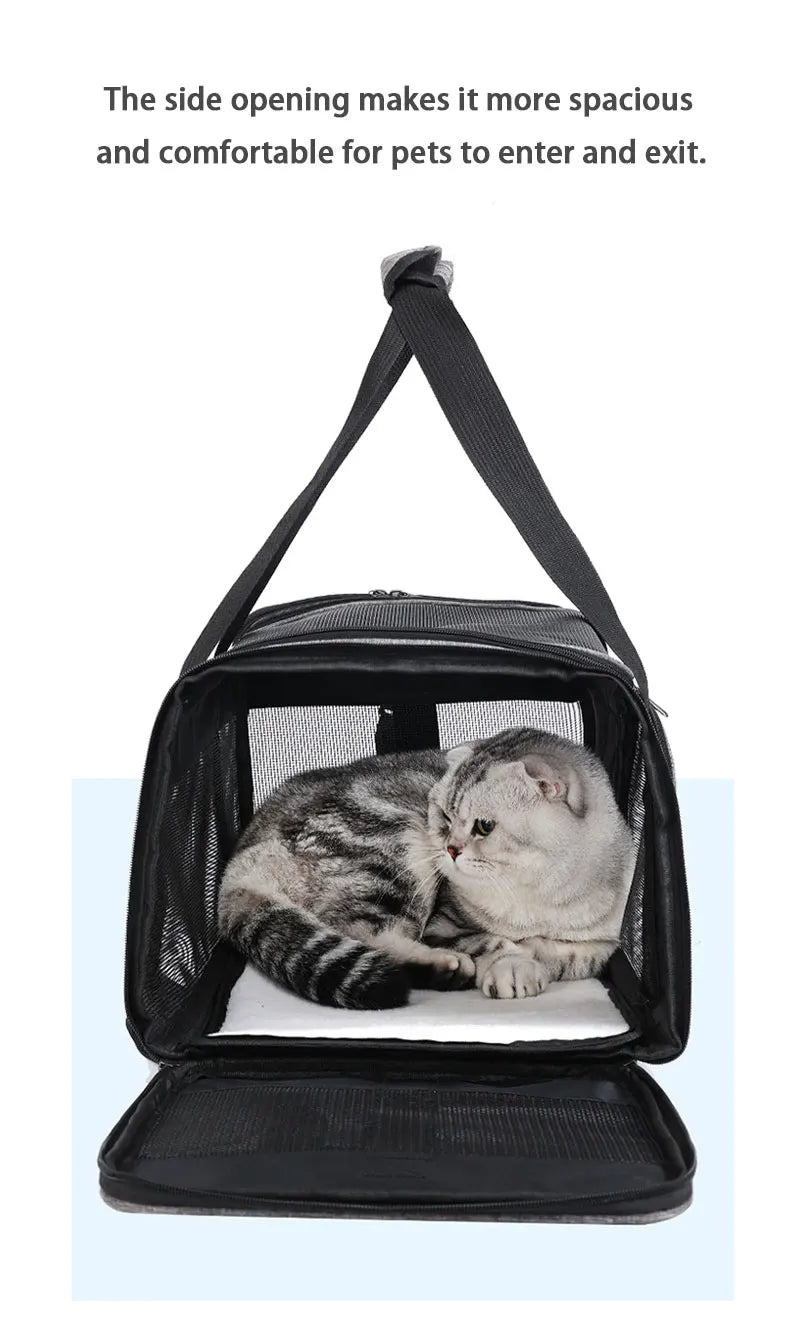 Backpack Pet Bag