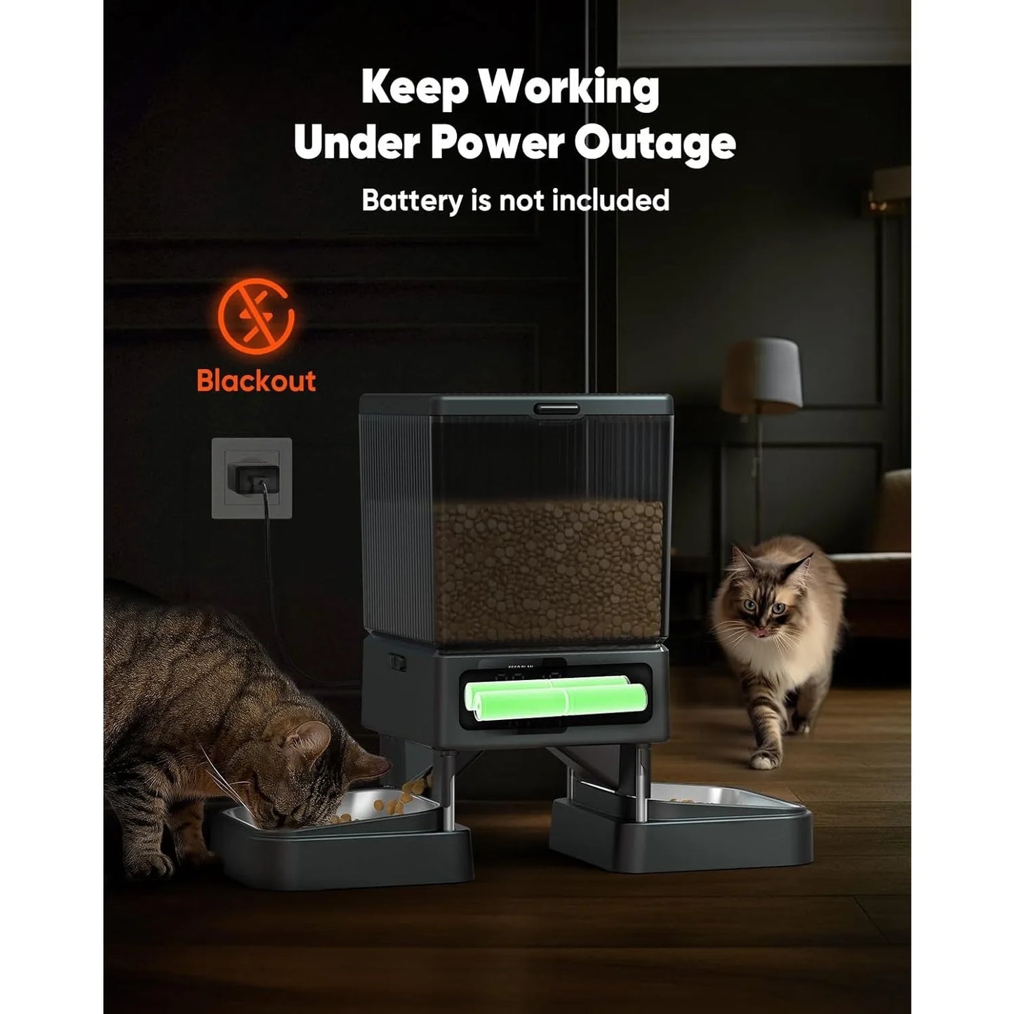 Automatic Cat Feeder for 2 Cats