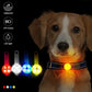 Dog collar, loss collar, weatherproof LED safety light, USB rechargeable LED light collar, dog, cat, pet
