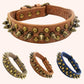 Vintage brass rivet heavy-duty adjustable pet dog collar, round head rivet paired with wear-resistant PU leather.