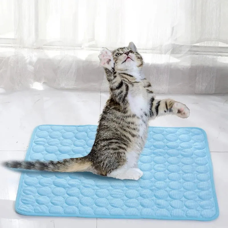 Pet Ice Mats