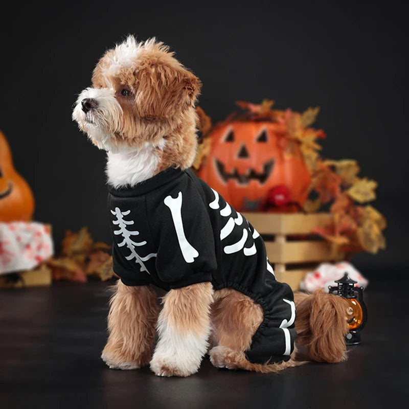 Halloween Dog Costume