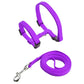 Escape-proof Small Dog Cat Harness Collar with Leash Set H Shape Choke Free Puppy Kitten Harness Soft Nylon Strap Collar for Pet