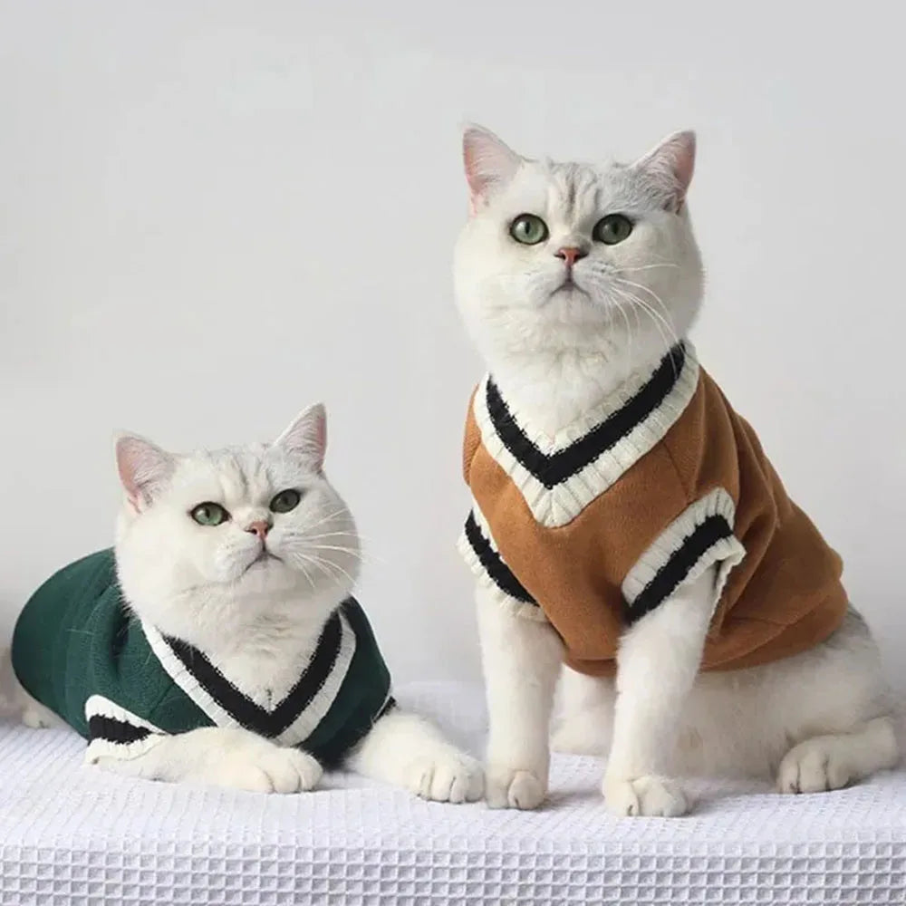 Cat Sweater Hoodies